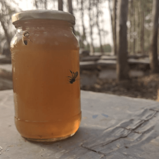A jar of eucalyptus honey kept in a platform